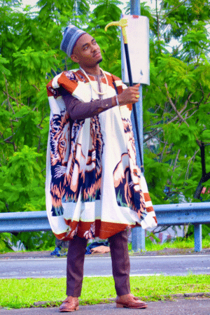 Lion Ankara Mixed Color African Native Embroidery Agbada.